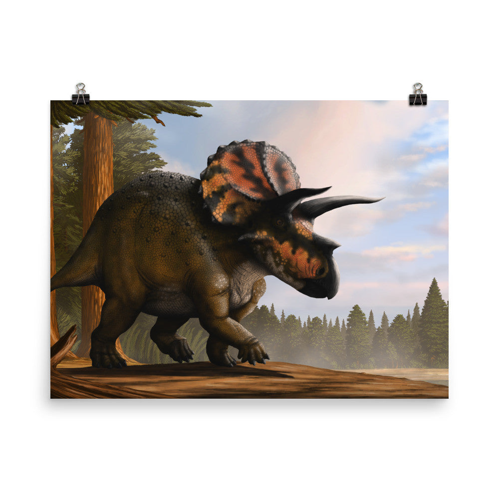 Triceratops poster