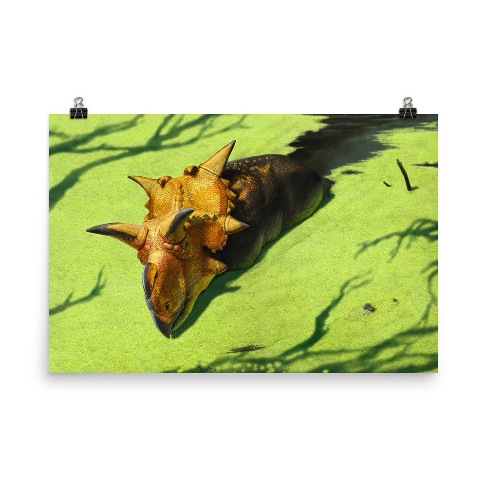 Xenoceratops poster