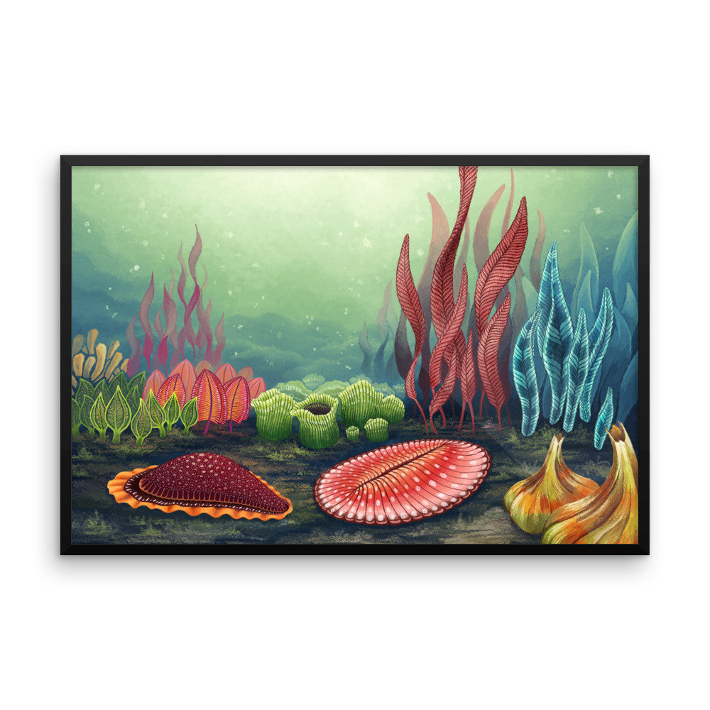 Garden of Ediacara framed print