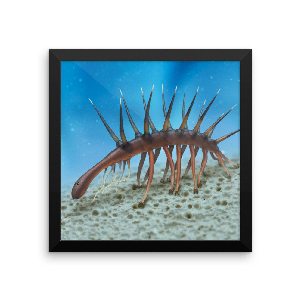 Hallucigenia framed print