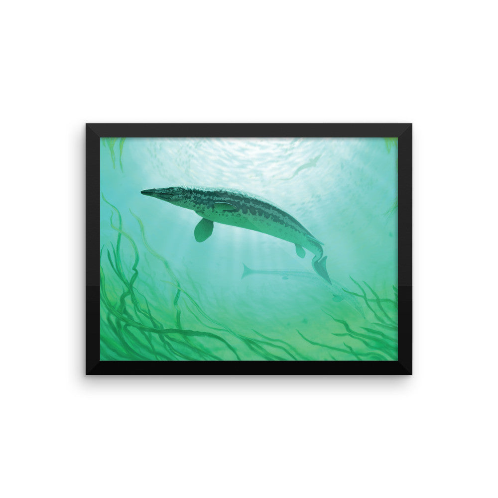 Clidastes framed print