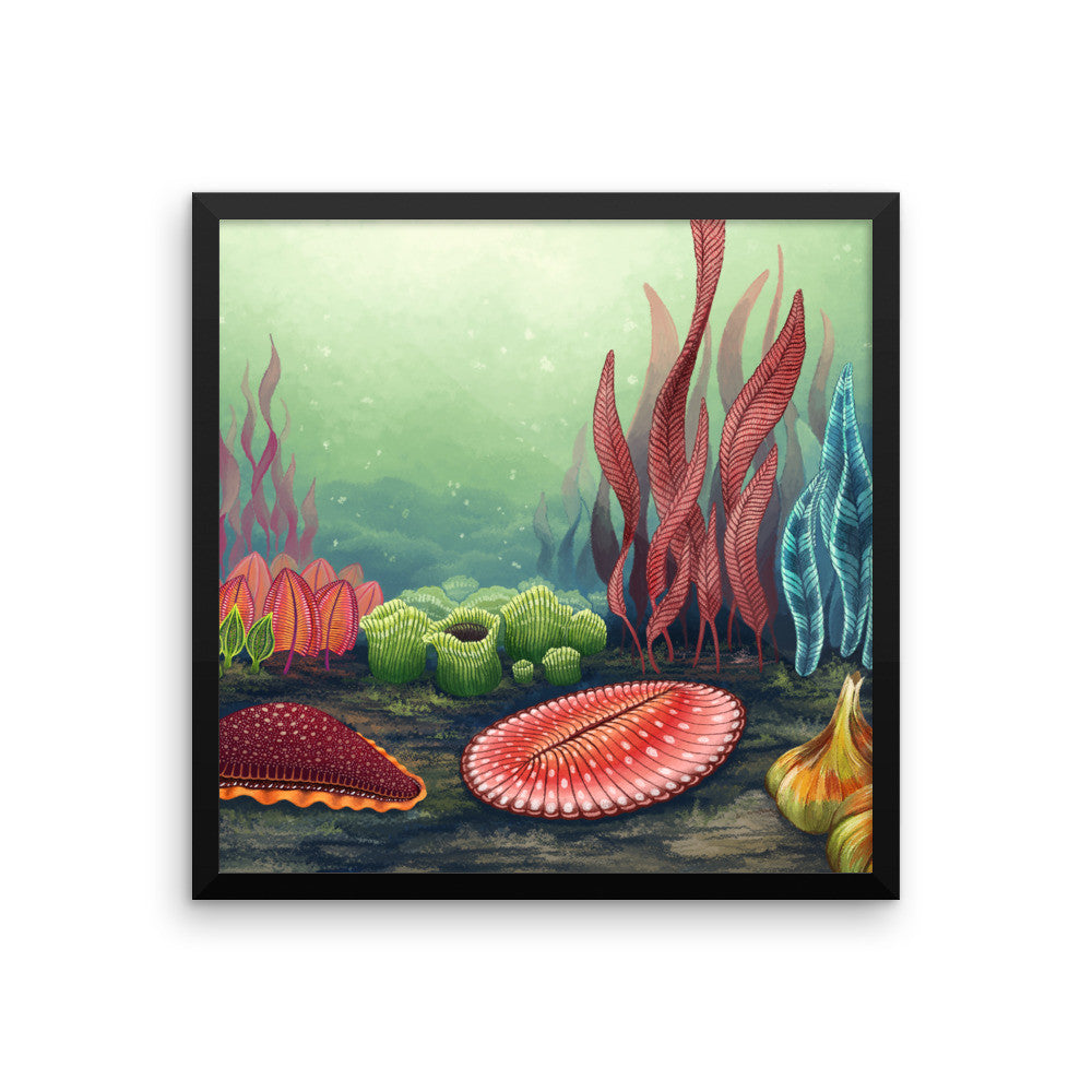 Garden of Ediacara framed print