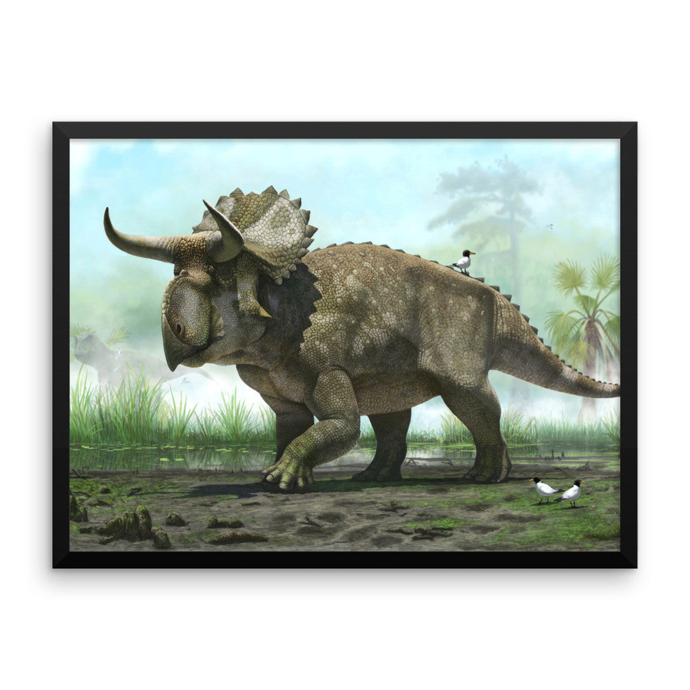 Nasutoceratops framed print