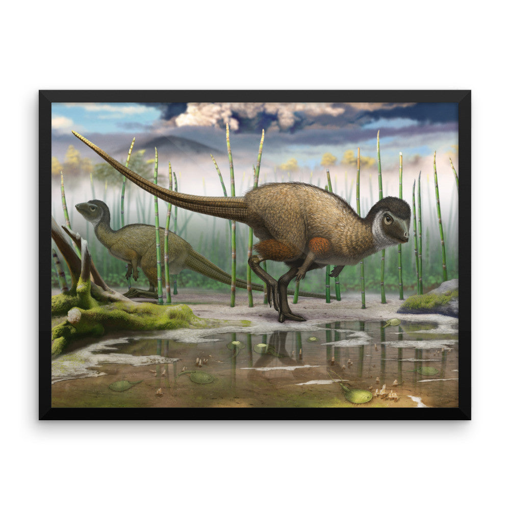 Kulindadromeus framed print