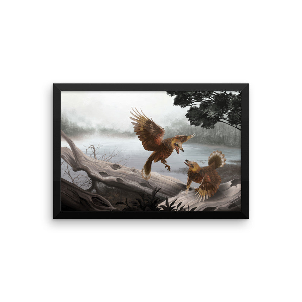 Iberomesornis framed print