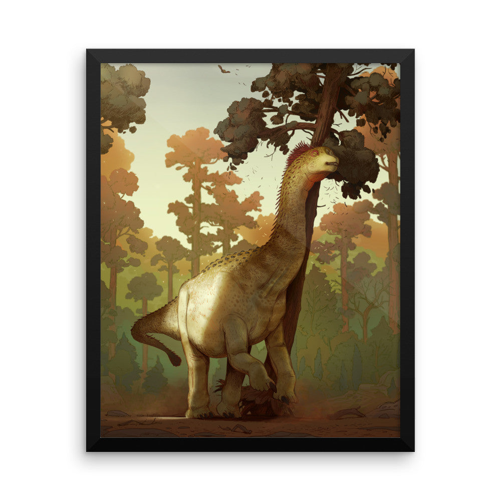 Camarasaurus framed print