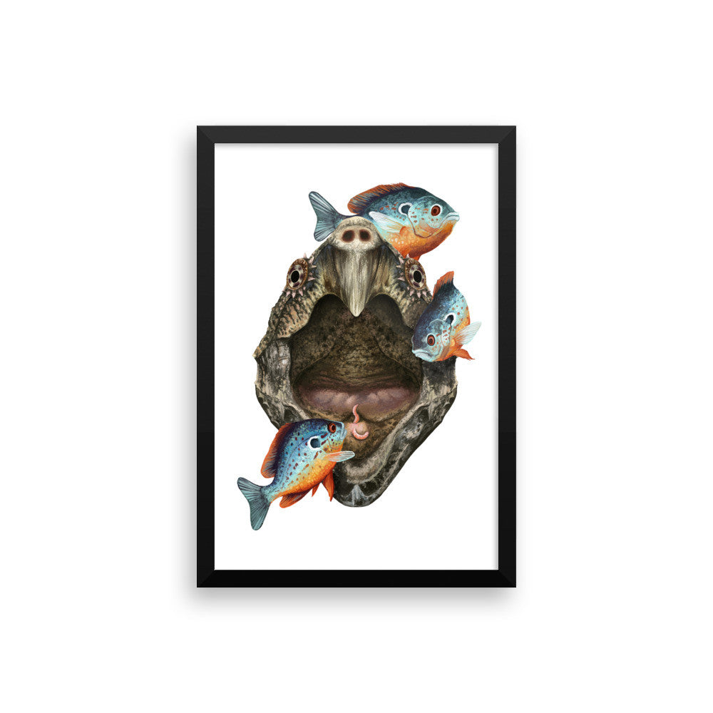 Alligator snapping turtle framed print