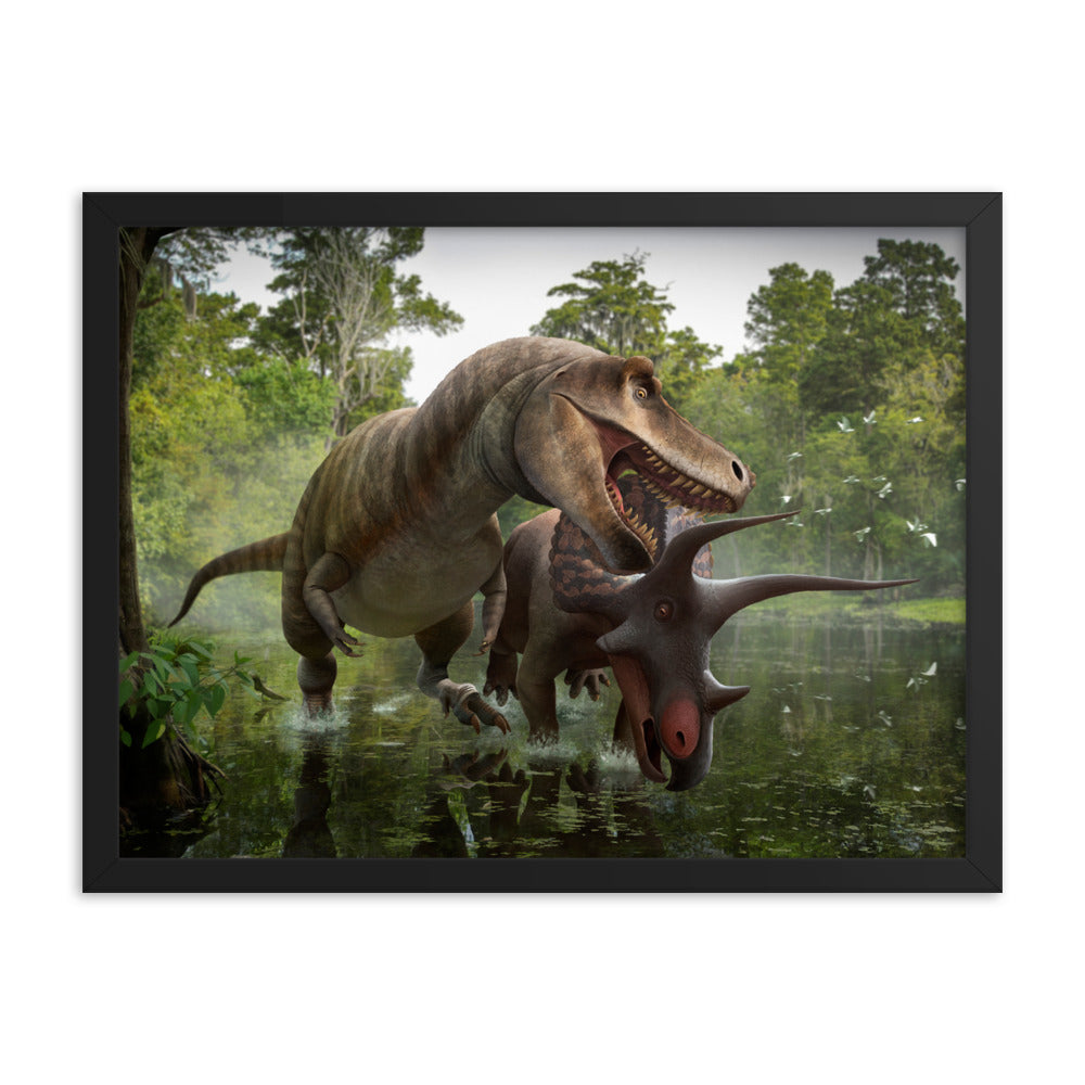 Triceratops vs Tyrannosaurus framed print