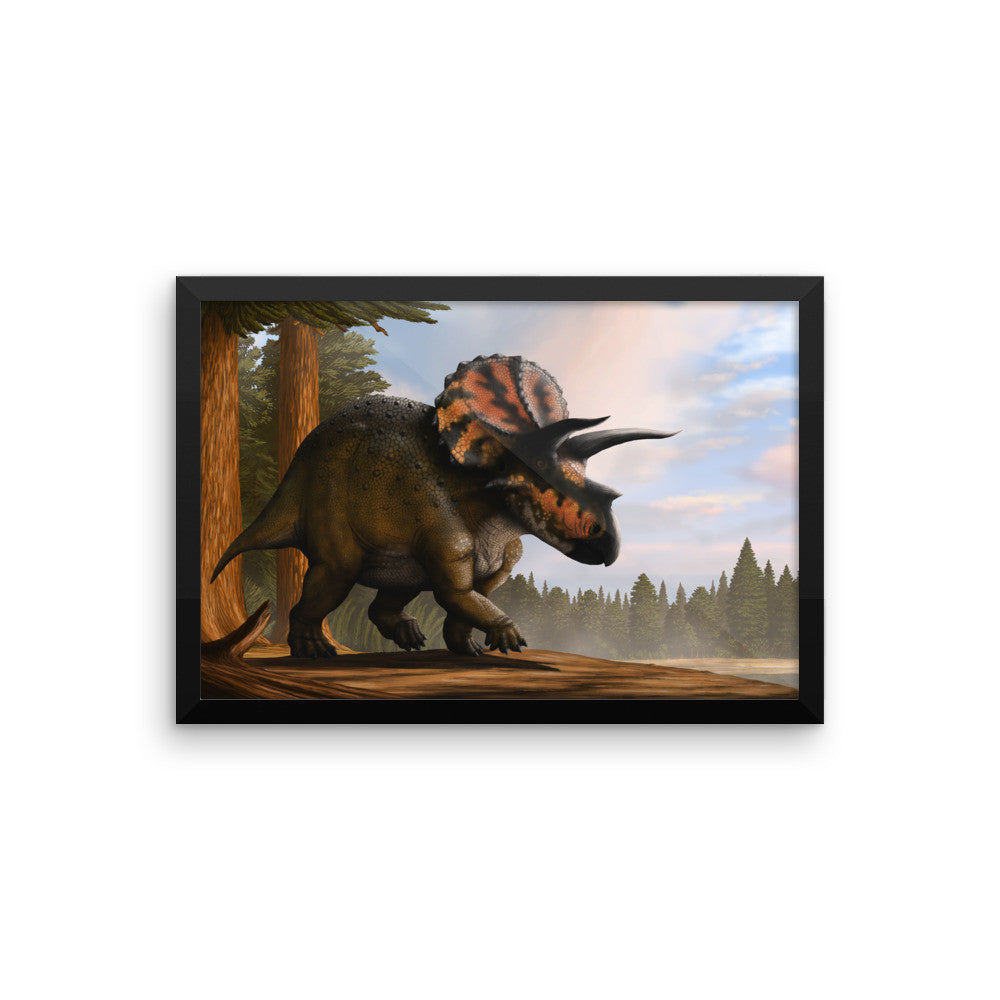 Triceratops framed print