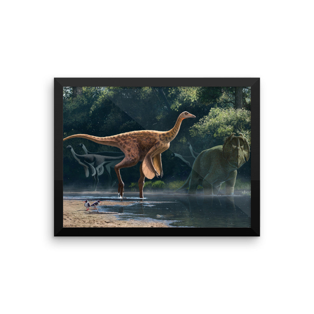 Rativates framed print