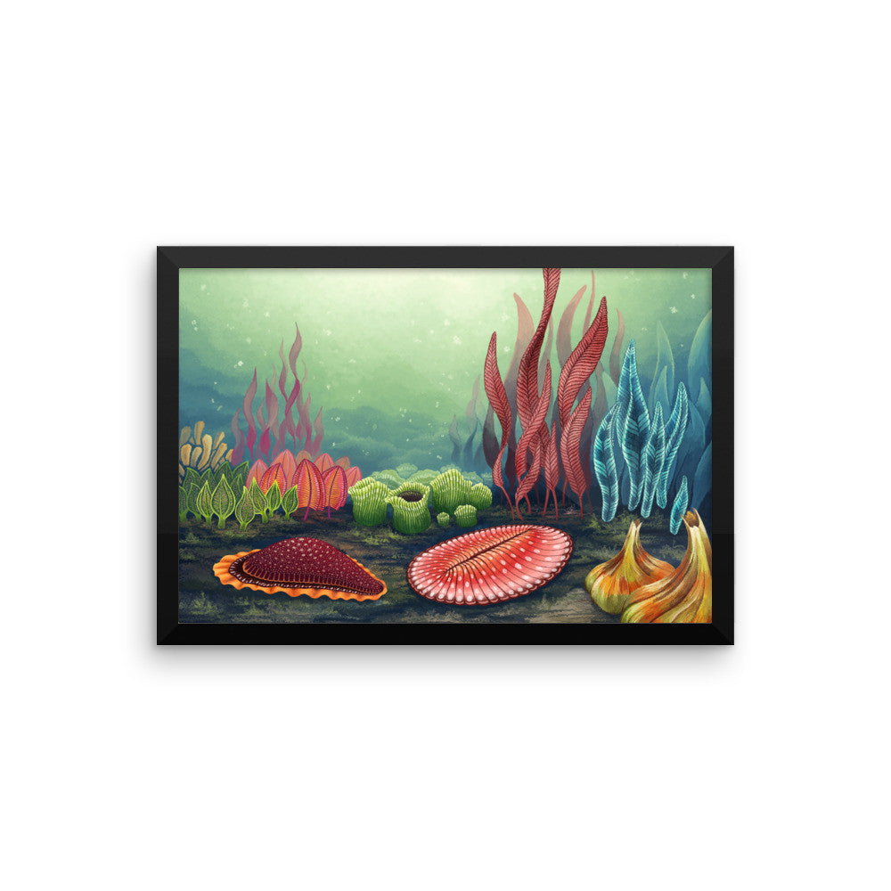 Garden of Ediacara framed print