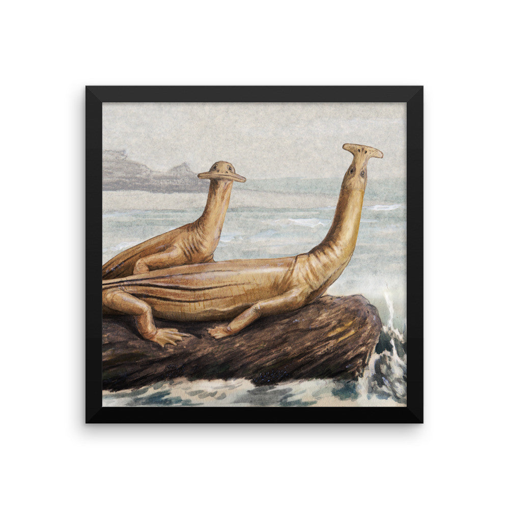 Atopodentatus framed print