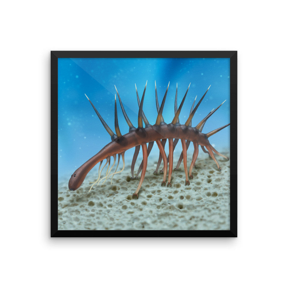 Hallucigenia framed print