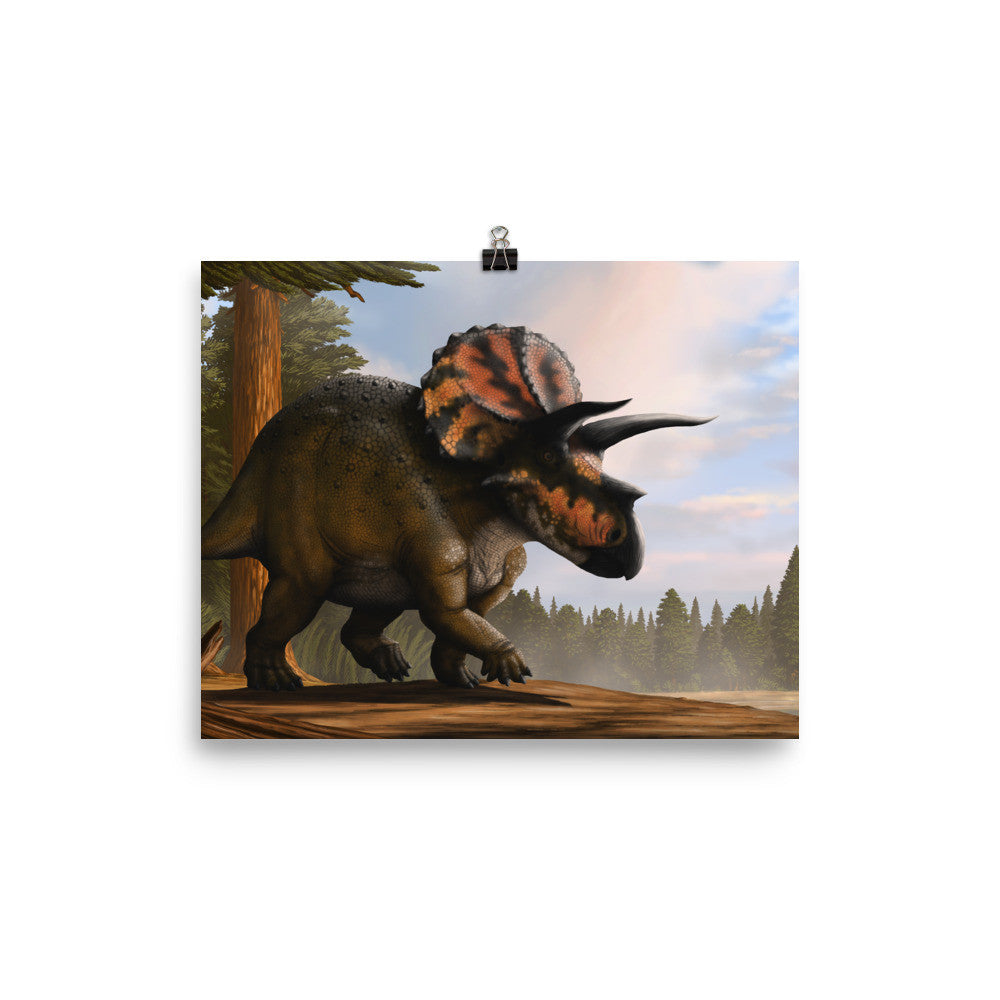 Triceratops poster