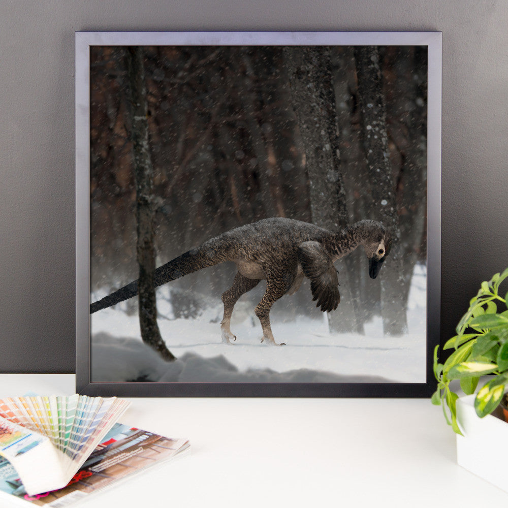 Alaskan troodontid framed print