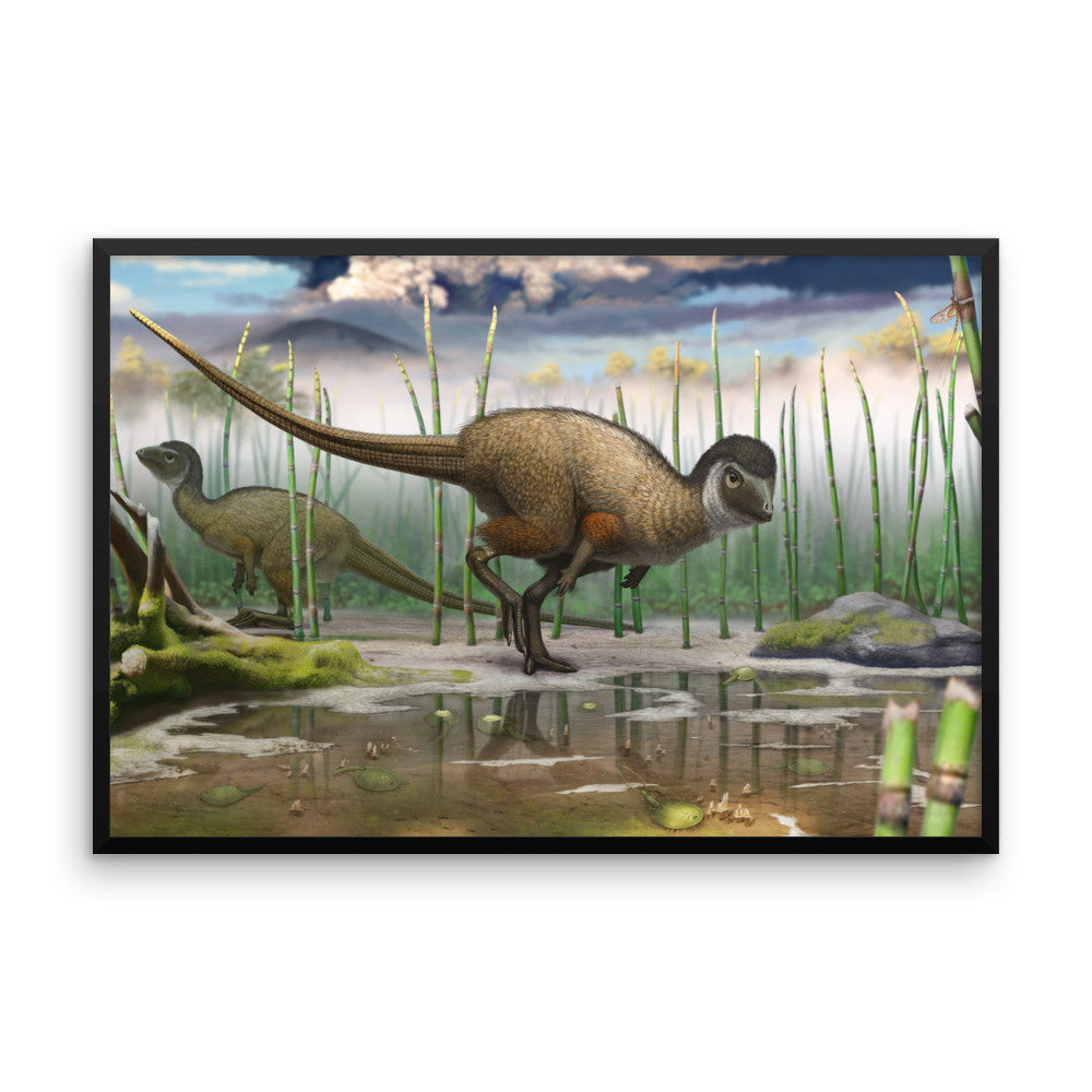 Kulindadromeus framed print