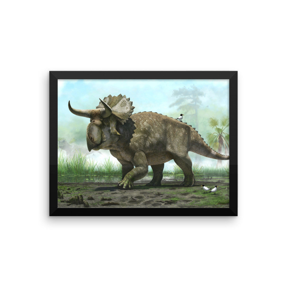 Nasutoceratops framed print