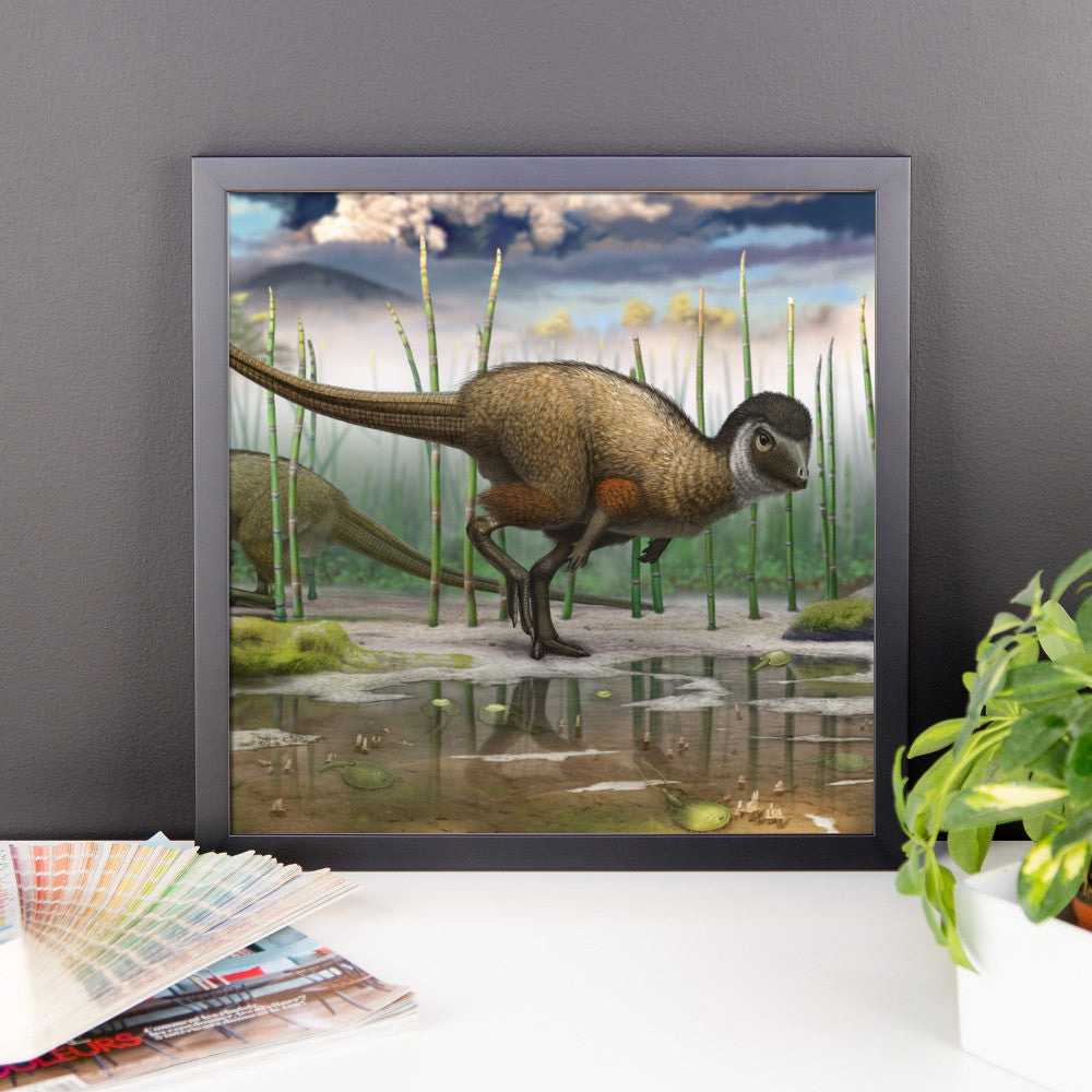 Kulindadromeus framed print