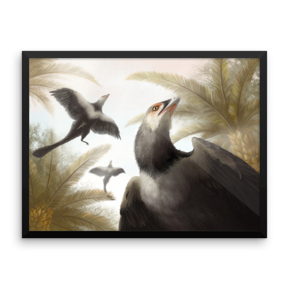 Archaeopteryx framed print