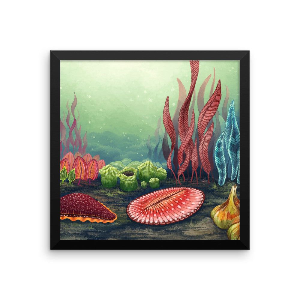 Garden of Ediacara framed print