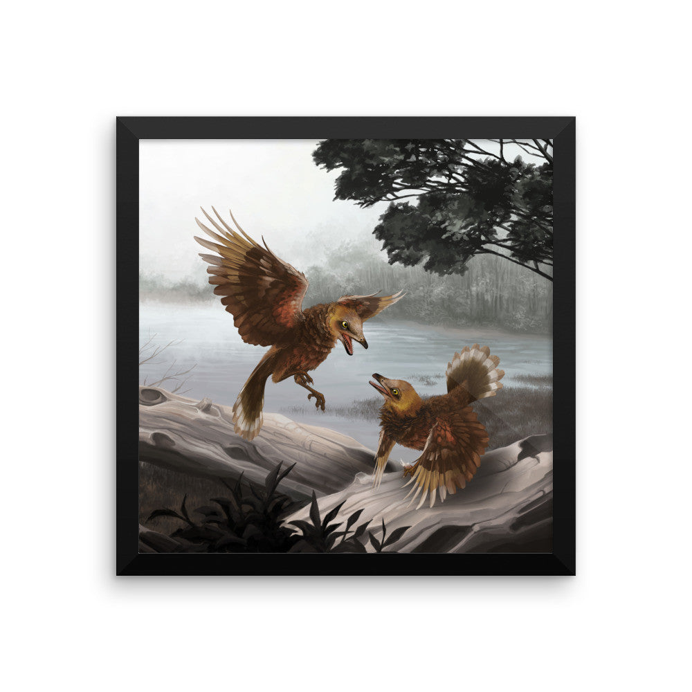 Iberomesornis framed print