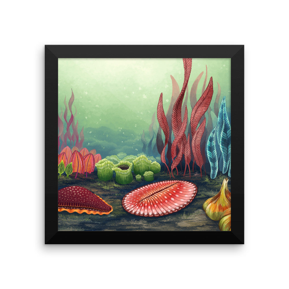 Garden of Ediacara framed print