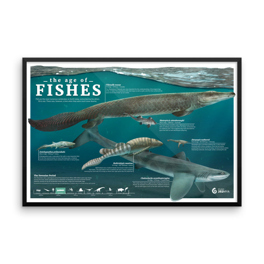 The Age of Fishes framed print