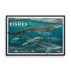 The Age of Fishes framed print
