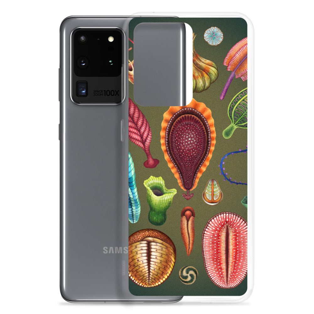 Ediacaran Samsung Case