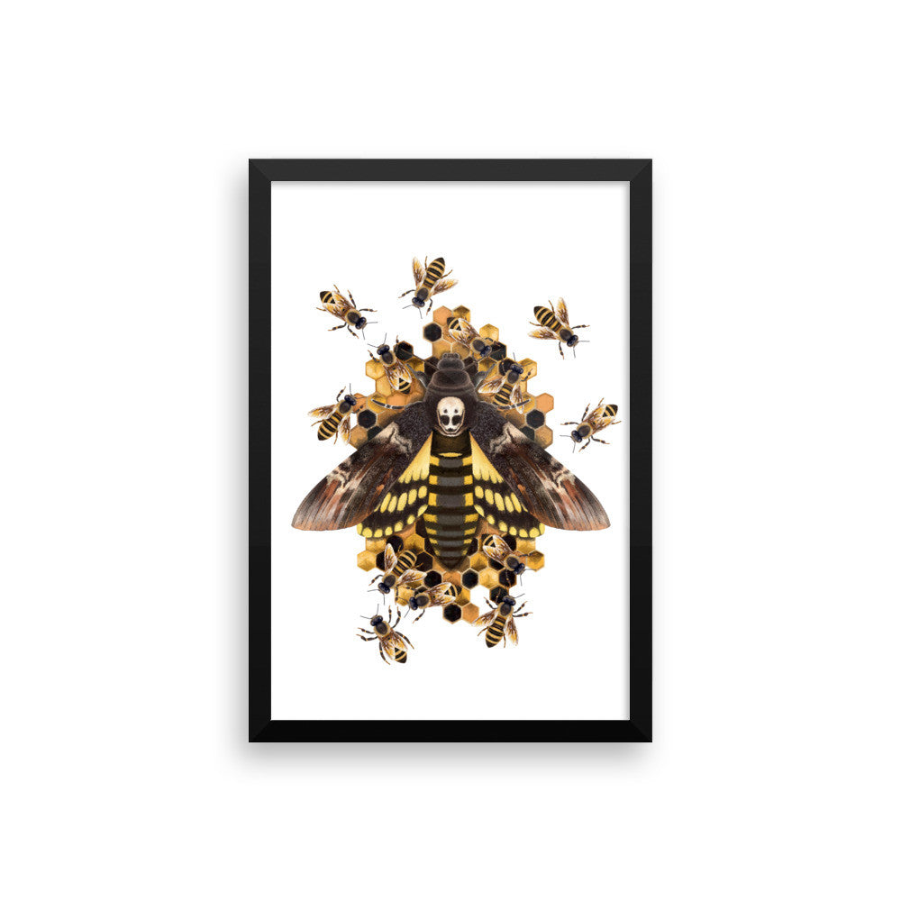 Death's head hawkmoth framed print