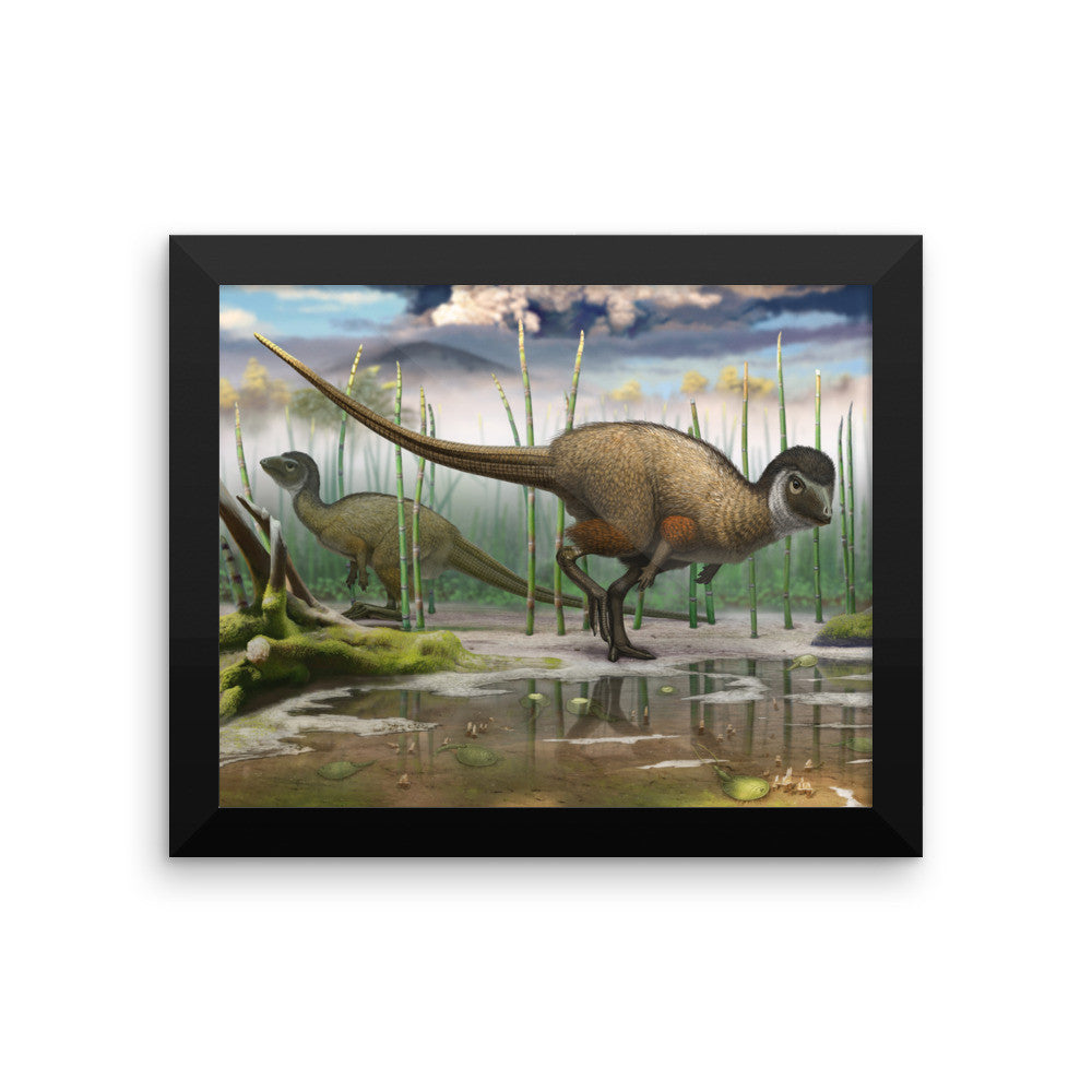 Kulindadromeus framed print