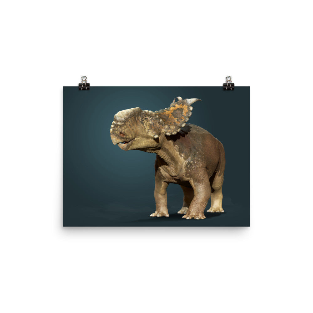 Pachyrhinosaurus poster