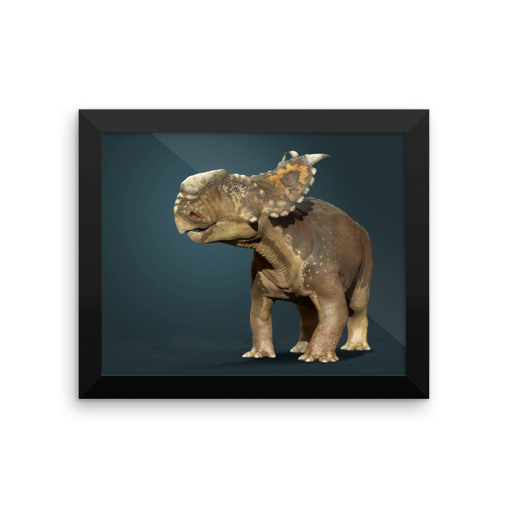 Pachyrhinosaurus framed print