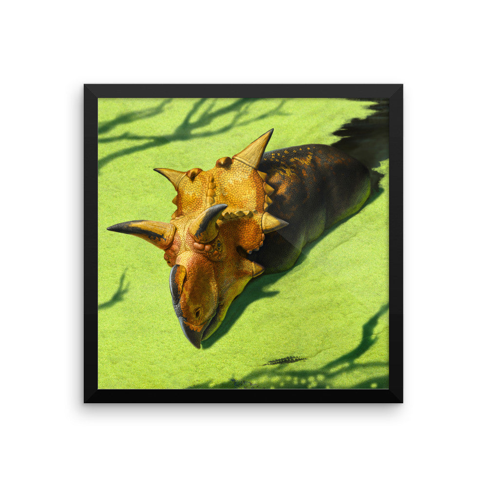 Xenoceratops framed print