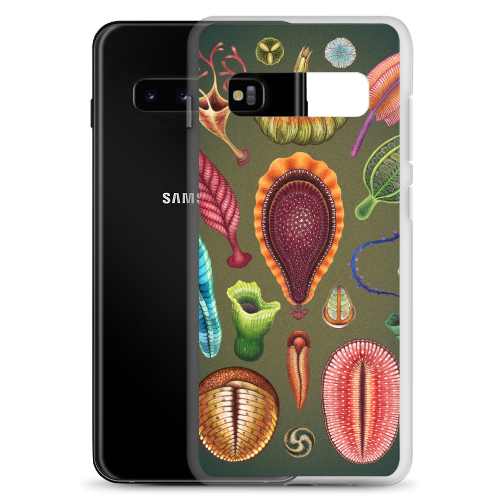 Ediacaran Samsung Case