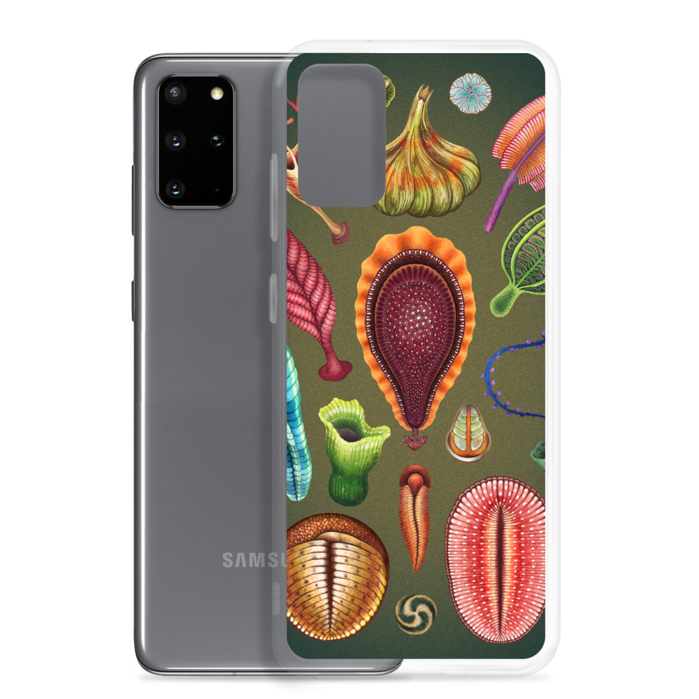 Ediacaran Samsung Case