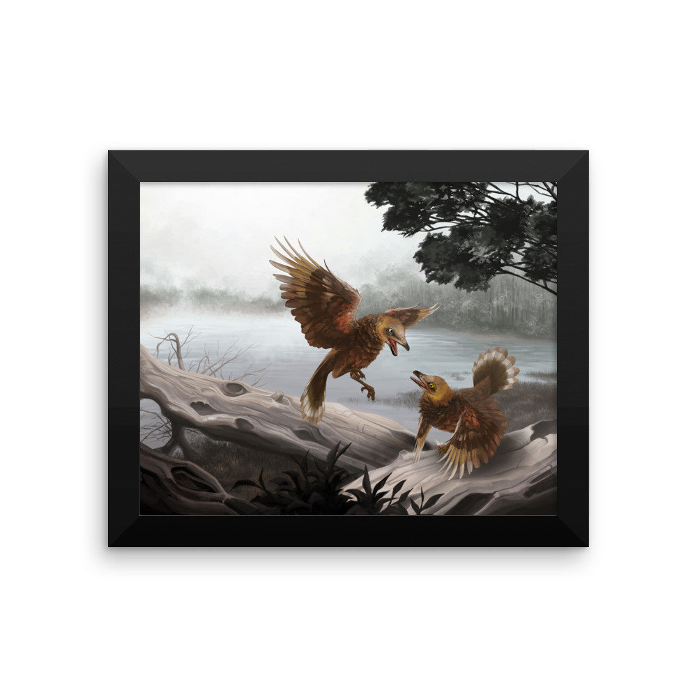 Iberomesornis framed print