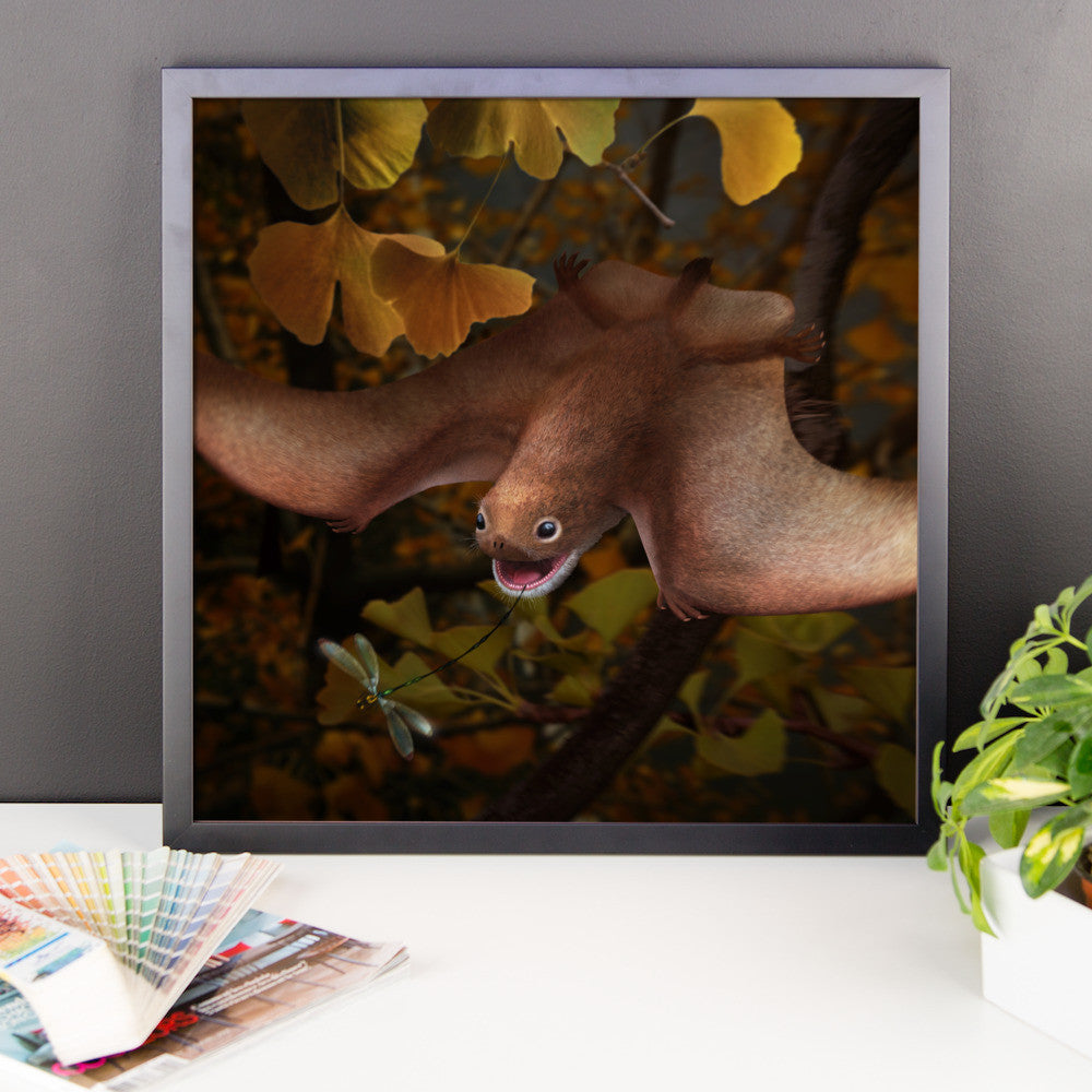 Anurognathus framed print