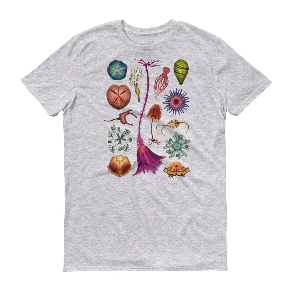 Echinoderms T-Shirt