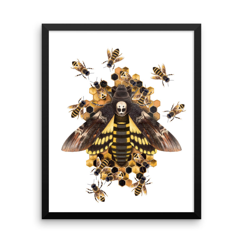 Death's head hawkmoth framed print