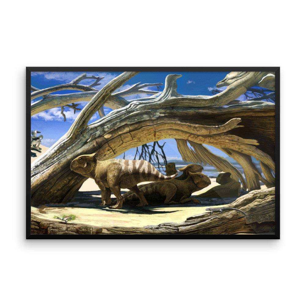 Protoceratops framed print