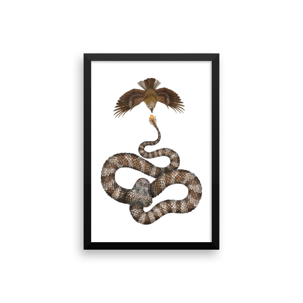 Spider-tailed horned viper framed print