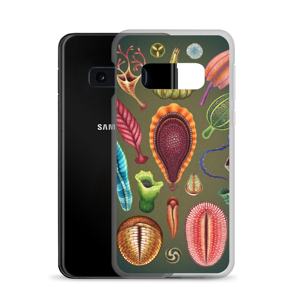 Ediacaran Samsung Case