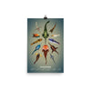 Jawless fishes poster