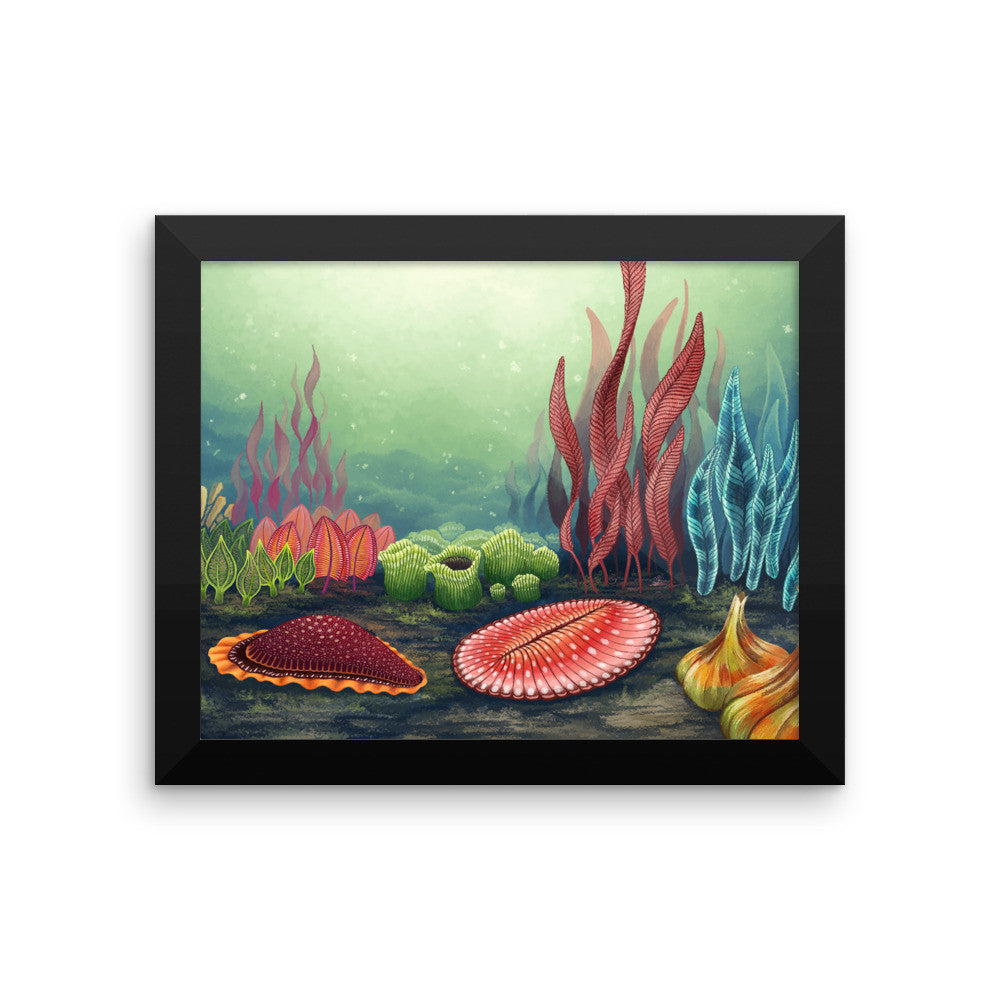 Garden of Ediacara framed print