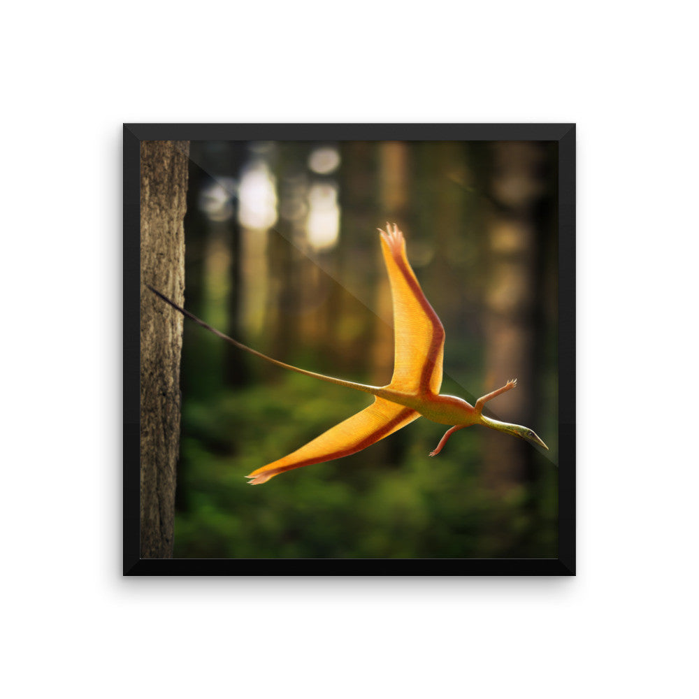 Sharovipteryx framed print