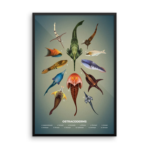 Jawless fishes framed print