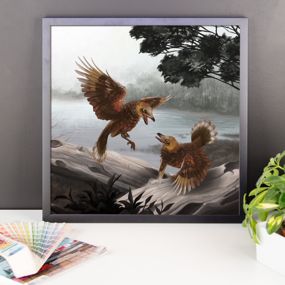 Iberomesornis framed print