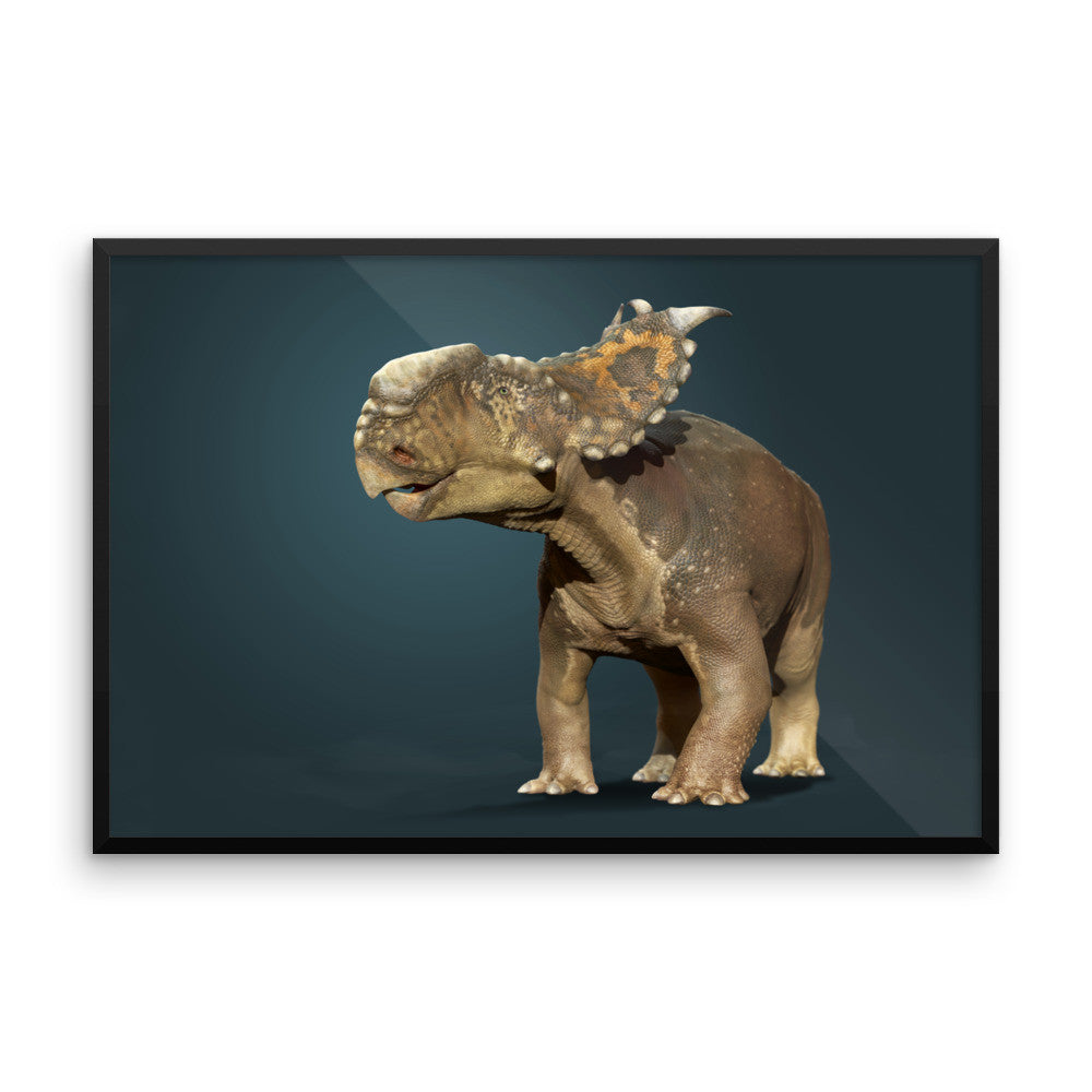 Pachyrhinosaurus framed print