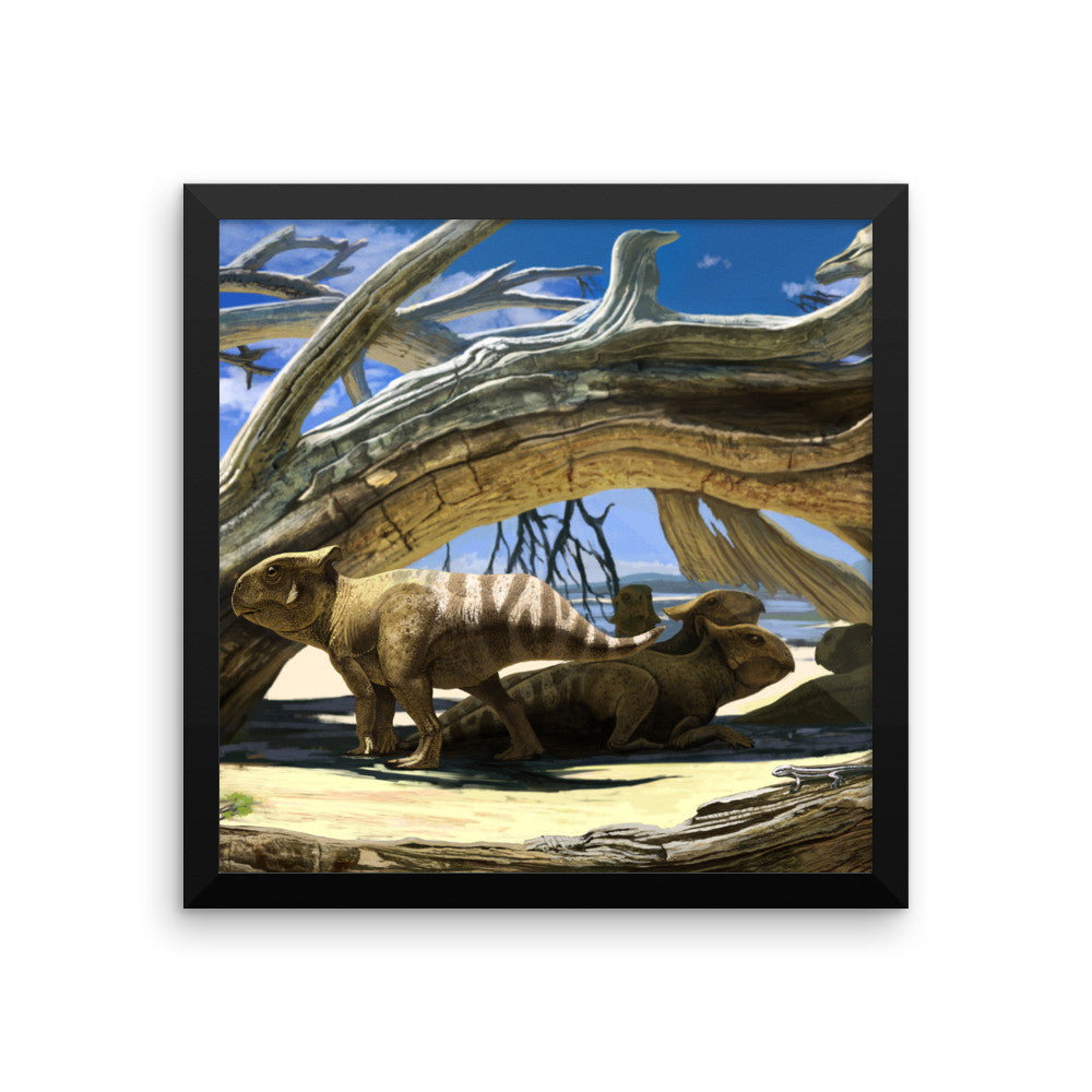 Protoceratops framed print